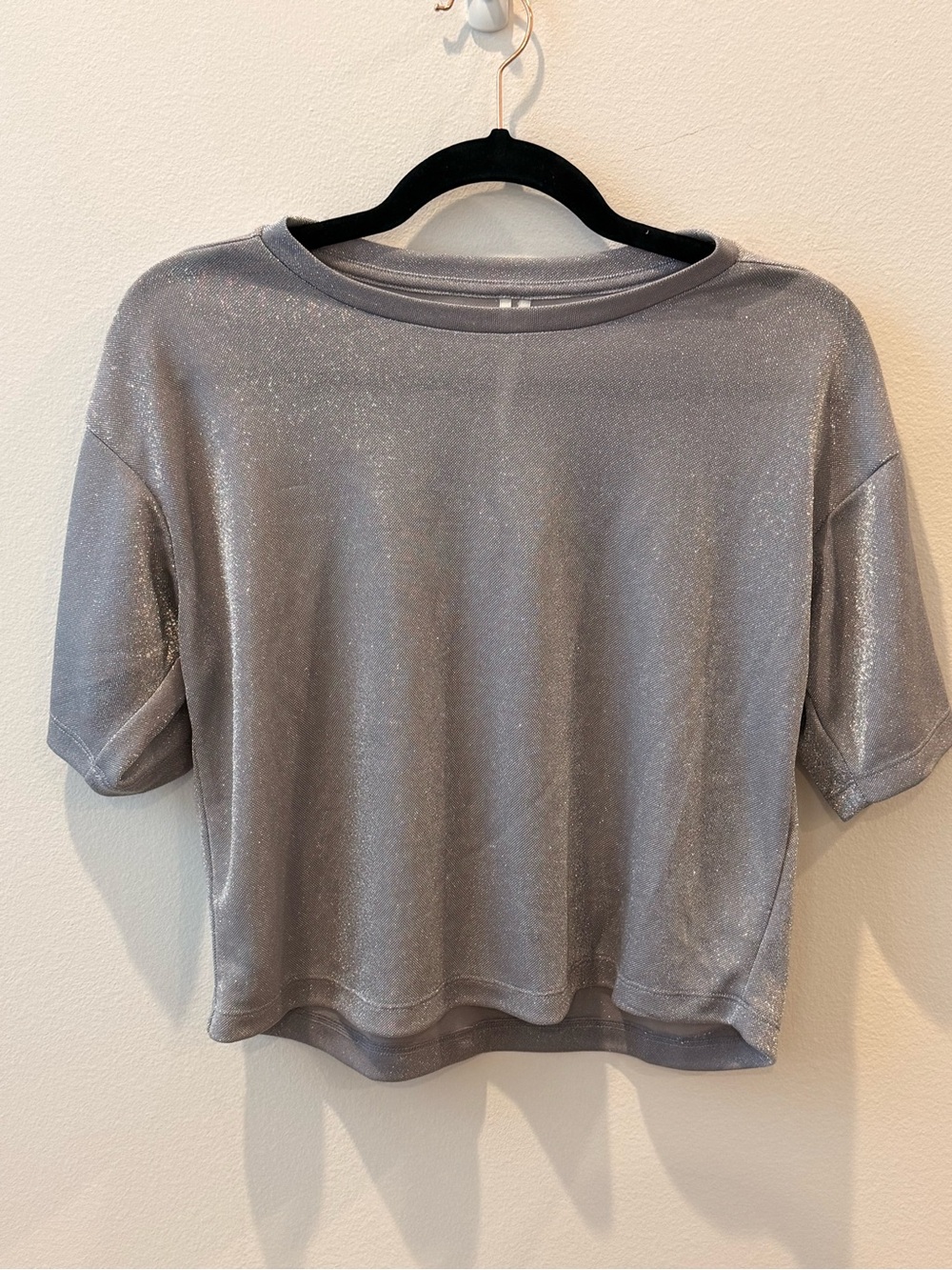 Anthropologie Silver‎ Metallic Shimmer Boxy Crop Top Size Small